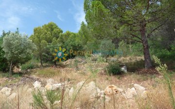 Property slide 4