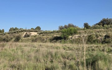 Property slide 2