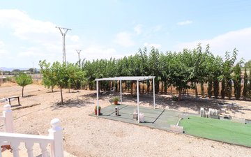 Property slide 43