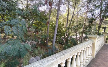 Property slide 15