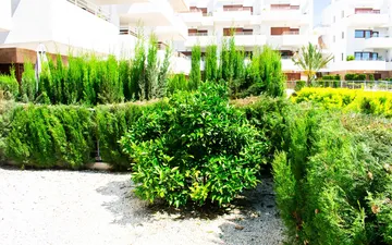 Property slide 31