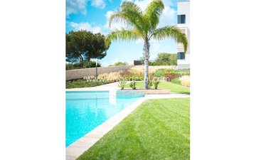 Property slide 21