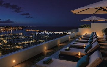 Property slide 10