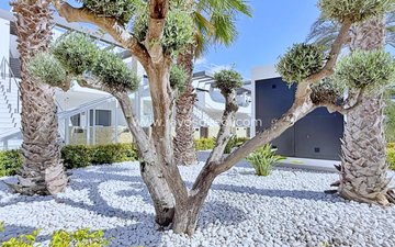 Property slide 36