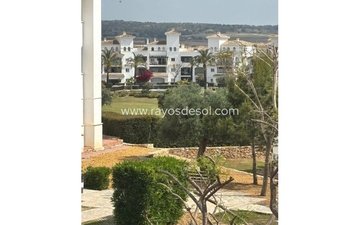 Property slide 32