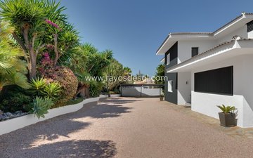 Property slide 6