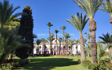 Property slide 31