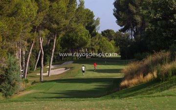 Property slide 19