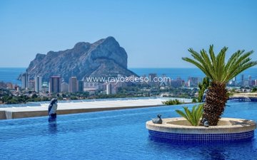 Property slide 24