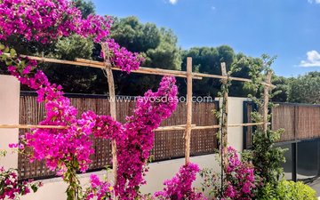 Property slide 30