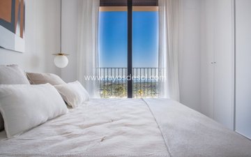 Property slide 17