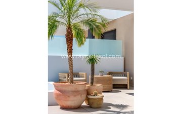 Property slide 22