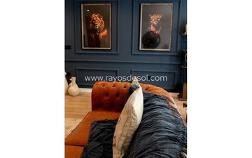 Property slide 31