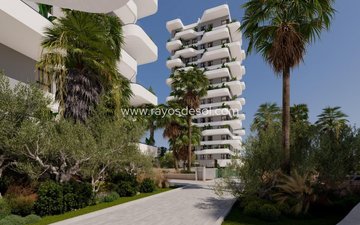 Property slide 8