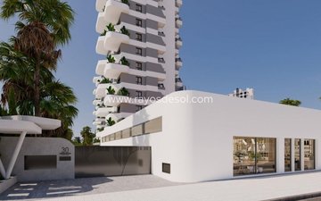 Property slide 12
