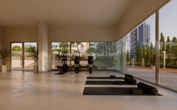 Property slide 13