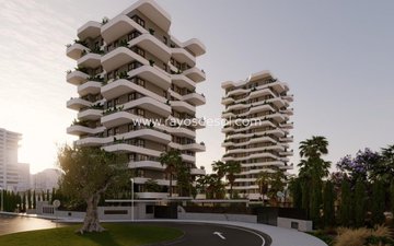 Property slide 26