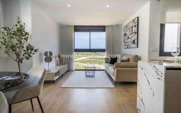Property slide 8