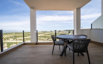 Property slide 43
