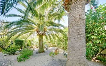 Property slide 25