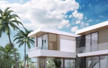 Property slide 12