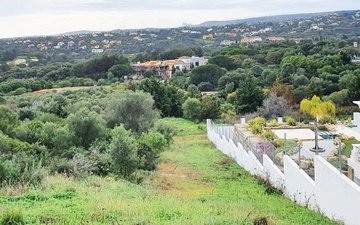Property slide 11