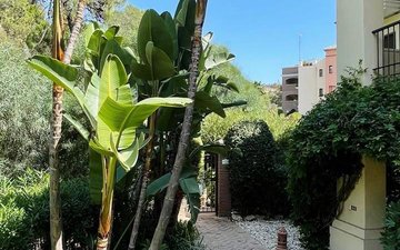 Property slide 30
