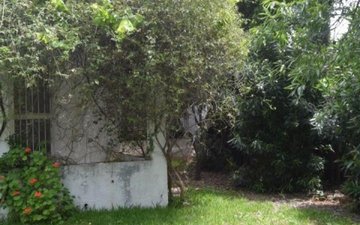Property slide 15