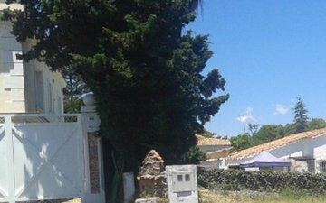 Property slide 25