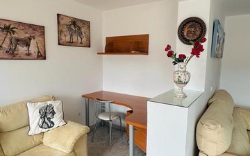 Property slide 31