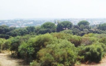 Property slide 7