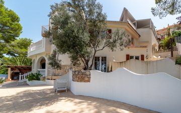 Property slide 13