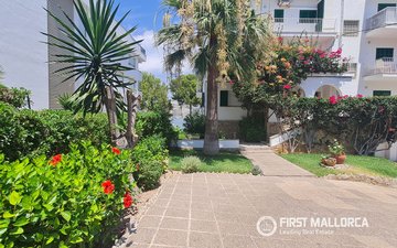 Property slide 13