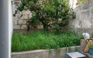 Property slide 24