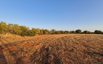 Property slide 1