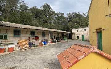Property slide 16