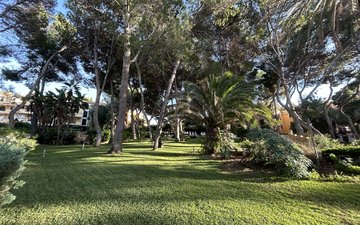 Property slide 21