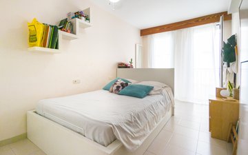 Property slide 11