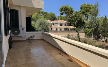 Property slide 17