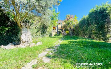 Property slide 23