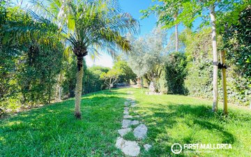 Property slide 19