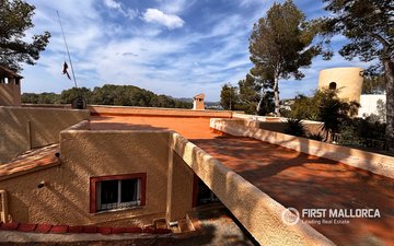 Property slide 4
