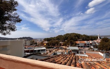 Property slide 31