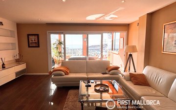Property slide 17