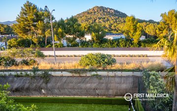 Property slide 29
