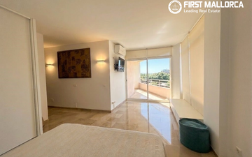 Property slide 17