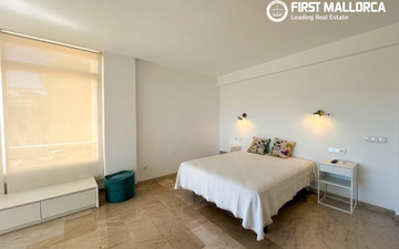 Property slide 16