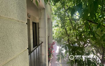 Property slide 4