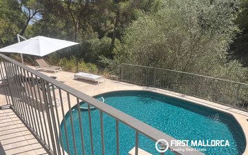 Property slide 29