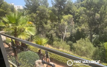 Property slide 18